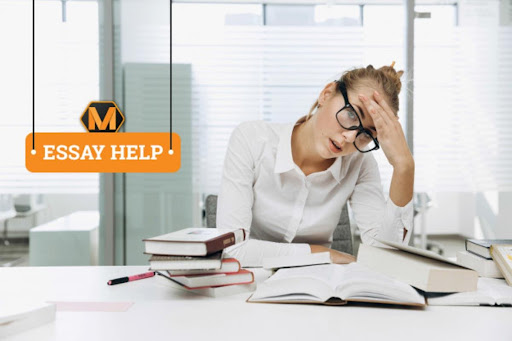 Online Resources That Can Make You a Pro Essay Writer